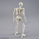 [New! Pre-Order] 30MF