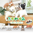 Fuchiyasumi Wanko - Blind Box