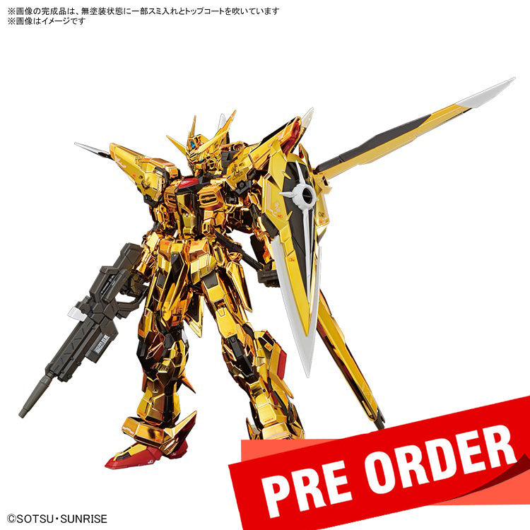 [New! Pre-Order] RG