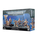 Warhammer Age of Sigmar: Lumineth R-L: Vanari Auralan Wardens