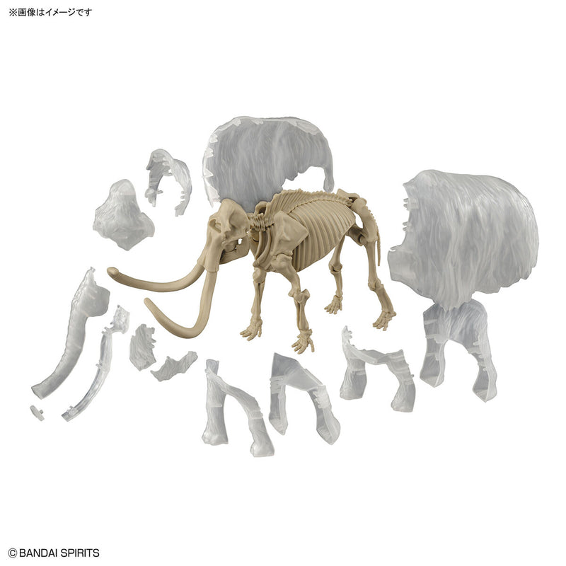 Exploring Lab Nature Mammoth