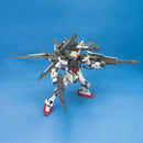 MG Strike Gundam + I.W.S.P. 1/100