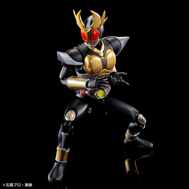 Kamen Rider Figure-rise Standard Kamen Rider Agito Ground