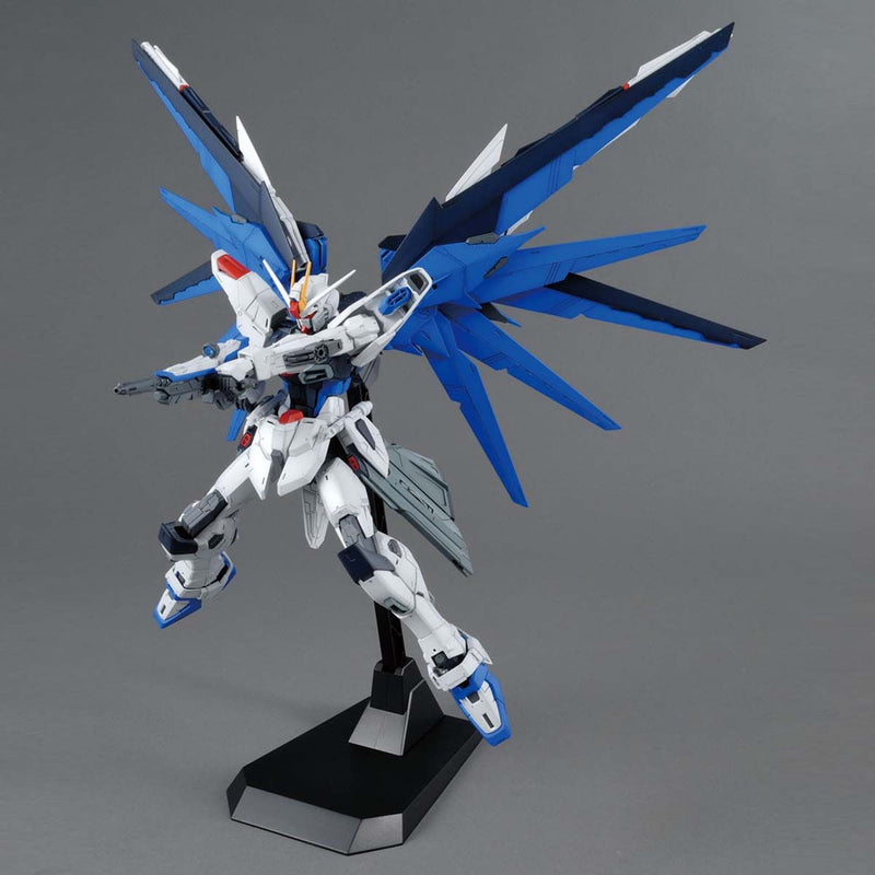 MG Freedom Gundam Ver.2.0 1/100