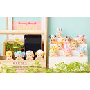 [IN-STORE ONLY] Sonny Angel Hippers Series